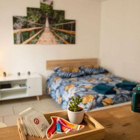 Studio Cosy Tv Wifi Confortable Et Chaleureux Gaillon Eksteriør billede
